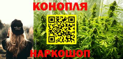 прущие грибы Краснокаменск