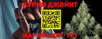 прущие грибы Краснокаменск
