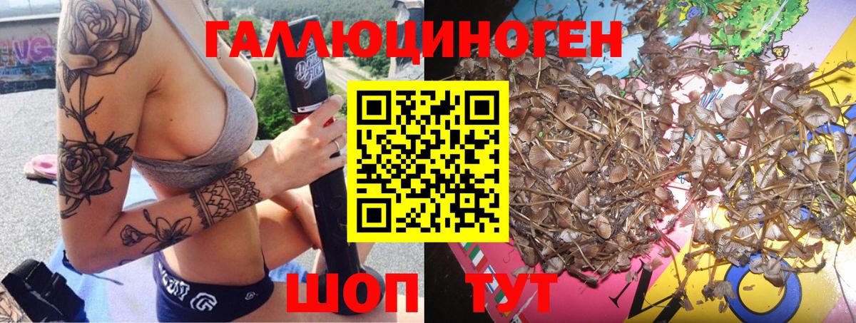 Жигулёвск  Галлюциногенные грибы мухоморы  наркошоп  Вход с VPN 