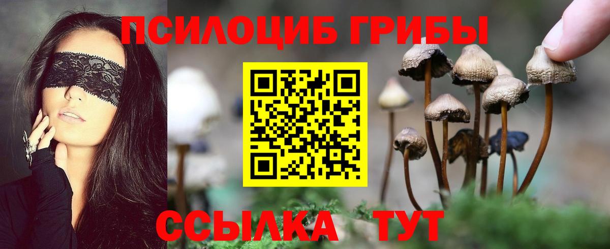 Галлюциногенные грибы ЛСД Жигулёвск